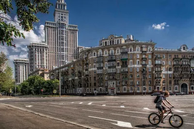 В Алтае в природу выпустили семь птенцов редкого сокола-балобана ⋆ НИА  \"Экология\" ⋆