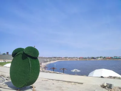 Только один пляж курорта в Соль-Илецке допущен к эксплуатации | Новости  Оренбурга | 56nv.ru