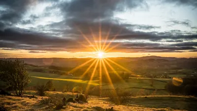 Осенний Лес С Лучами Утреннего Солнца Лучи Xxxl Изображение — стоковые  фотографии и другие картинки Солнечный свет - iStock