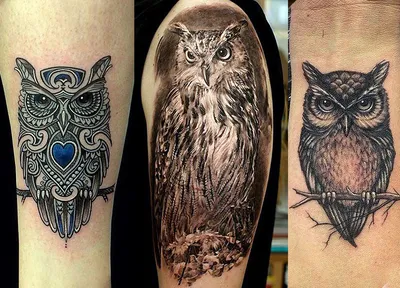 Купить Временная татуировка в виде совы, леса, для мужчин, женщин, детей,  мальчиков, льва, поддельные татуировки монстра, наклейка, компас, черная  переноса воды, татуировки, рука | Joom