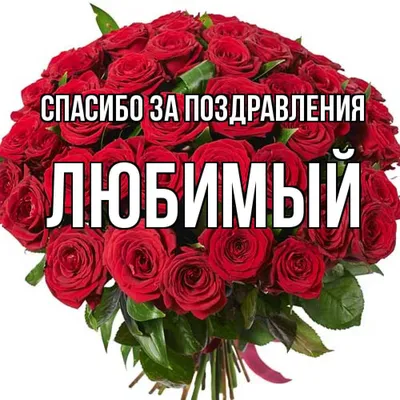 Спасибо за поздравления! | Николай Ганчук | Дзен