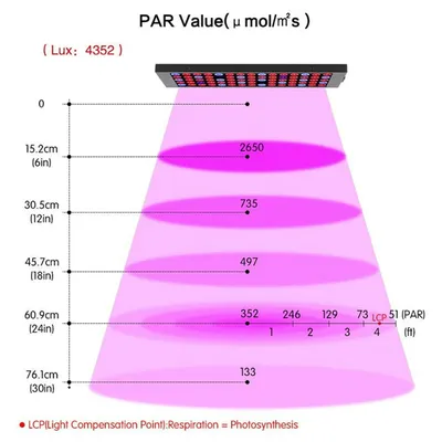 Рис. 5. (a) Типичные рамановские спектры, полученные при анализе внешн…