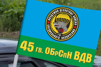 Губернатор Подмосковья поздравил военных 45‑й бригады спецназа ВДВ с  годовщиной - В регионе - РИАМО в Королеве