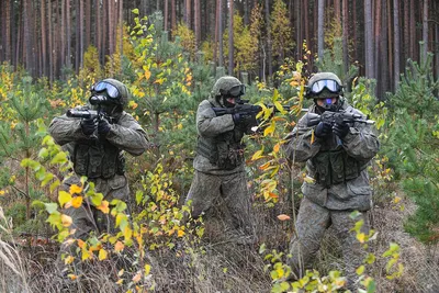 Военкор Руденко: в зоне СВО уничтожена группа элитного спецназа НАТО -  TOPNews.RU