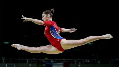 Дисциплины | Федерация спортивной гимнастики России