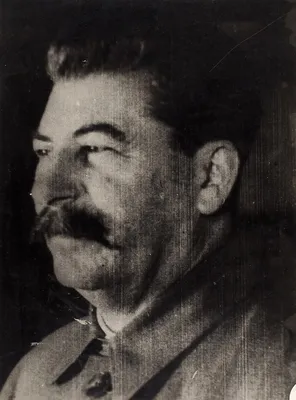 Фотография И.В. Сталина без ретуши. 1949. | Аукционы | Аукционный дом  «Литфонд»