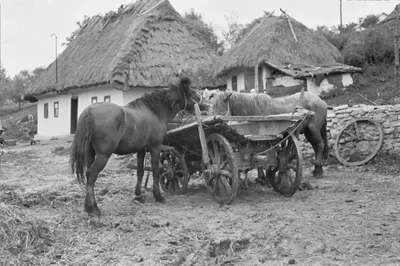 Старинные фотографии Украины