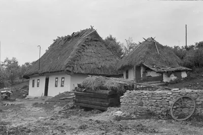 Ретро-Северный Казахстан: старинные фото Мамлютки — Петропавловск News