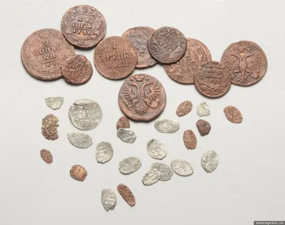 Жительница Запорожья пыталась вывезти в Польшу около тысячи старинных монет  (фото) - Газета МИГ