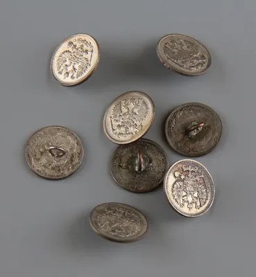 Два клада старинных монет обнаружили в фондах псковского музея | ОБЩЕСТВО |  АиФ Псков