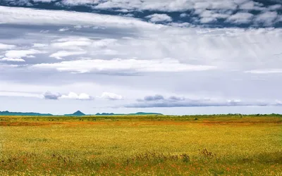 Картинки степи фотографии