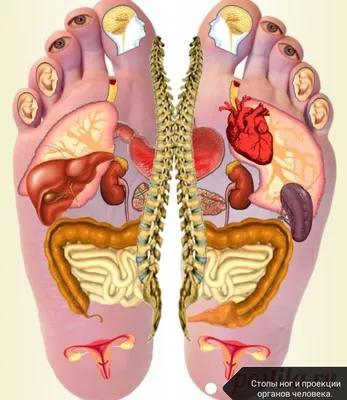 Про стопы ног и про болезни, которые по стопам можно определить. | Моя  копилка. | Дзен