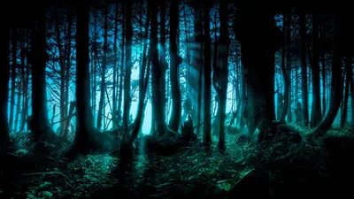 искривленные деревья в загадочном лесу жуткое трехмерное цифровое  произведение искусства с мрачной атмосферой, страшный лес, призрачный фон,  преследуемый фон картинки и Фото для бесплатной загрузки