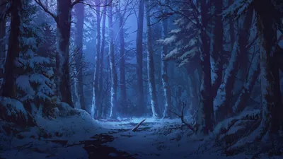 Залитый лунным светом мистический лес окутанный туманом завораживающее 3d  произведение, страшный лес, темный лес, лесная тропинка фон картинки и Фото  для бесплатной загрузки