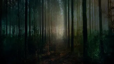 Страшный тёмный Лес в тумане» — создано в Шедевруме