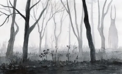 Темный страшный лес с туманом на ноче Стоковое Изображение - изображение  насчитывающей сумрак, полночь: 37184203