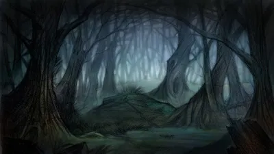 лес страшный и пустой с высокими соснами Stock Photo | Adobe Stock