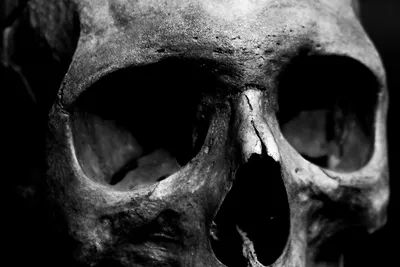 черепа halloween страшные стоковое изображение. изображение насчитывающей  мертво - 130068157