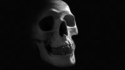 Маска черепа на всю голову Хэллоуина, страшные маски скелета для взрослых с  подвижной челюстью, жуткий головной убор Маска Призрак Маскарад Косплей  Реквизит для вечеринки – лучшие товары в онлайн-магазине Джум Гик