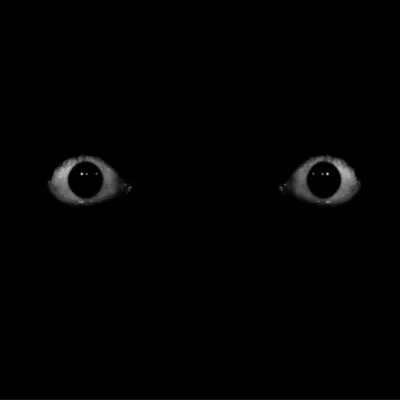 Страшные глаза зомби стоковое изображение. изображение насчитывающей  подростка - 49274975