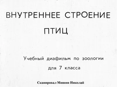 Смотреть слайды Птицы. Раздел 2. Внутреннее строение птицы