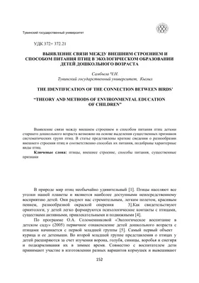 Интерактивная папка «Зимующие птицы» для детей среднего и старшего  дошкольного возраста (20 фото). Воспитателям детских садов, школьным  учителям и педагогам - Маам.ру