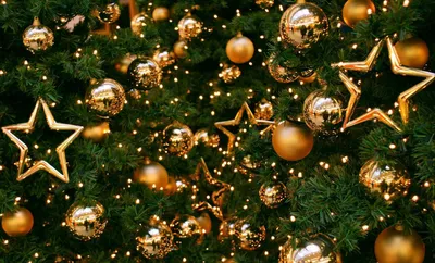 Светлое Христово Рождество. Как не потерять за «блестящей мишурой» глубокий  смысл этого праздника? | zviazda.by