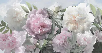 фон с розами эстетика розовые розы минимализм светлый фон | Розовые розы,  Цветочные фоны, Розы