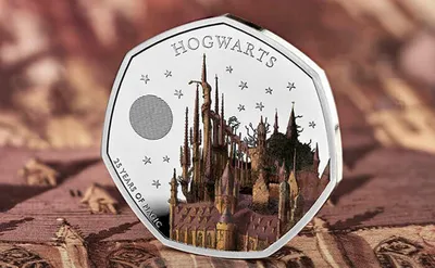 В день рождения Гарри Поттера: лучшие подарки для тех, кто мечтает попасть  в Хогвартс | theGirl