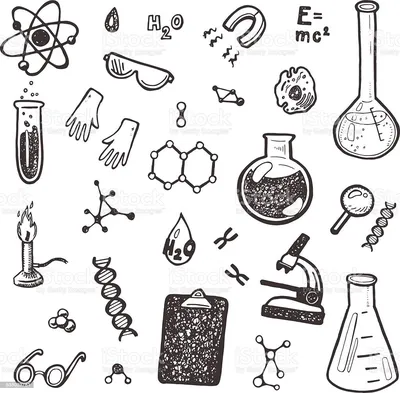 Химия и биология: как набрать высокие баллы и поступить в вуз мечты | Курсы  ЕГЭ и ОГЭ «Proect104» | Дзен