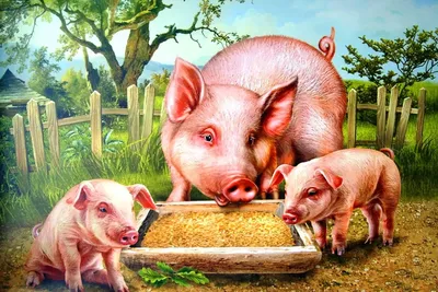 Органы мертвых свиней впервые оживили: Наука: Наука и техника: Lenta.ru