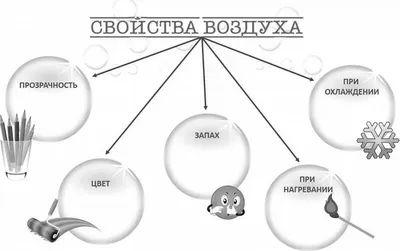 Урок 2. Как земля пьет? Водные свойства почвы для детей. - tavika.ru