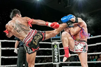 Бокс против тайского бокса: главные сходства и различия | Divos | Дзен