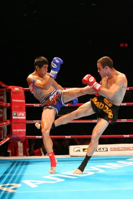 ᐉЭкипировка для тайского бокса - купить товары для Муай Тай Украина -  loart.com.ua