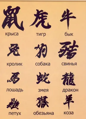 cool Популярные китайские иероглифы тату и их значение (50 фото) — Как  выбрать свою? Читай больше http://… | Spine tattoos, Chinese symbol  tattoos, Tattoo lettering