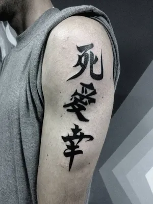 Toomix, Татуировка на тело \"Китайский иероглиф Любовь\" 5,3х6,3 см, 2 штуки-  купить по выгодной цене в интернет-магазине OZON (1008409147)