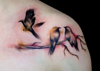 Самые популярные татуировки с птицами