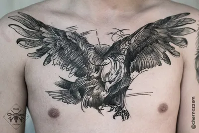 Тату птица - думаешь легко выбрать «свою» татуировку? | tattoo-sketches.com  | Дзен