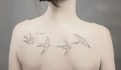 Тату птица (245 фото) - значение татуировки, эскизы 2023