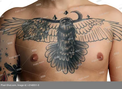 Временная татуировка птицы голуби — цена 59 грн в каталоге Другие украшения  ✓ Купить женские вещи по доступной цене на Шафе | Украина #112530552