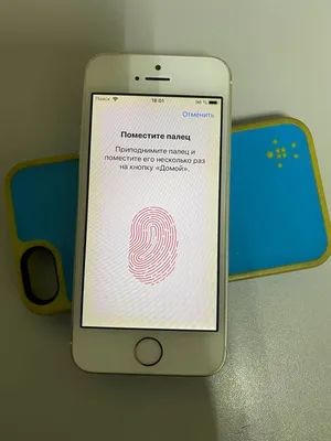 Apple iPhone 5S и iPhone 5C - первое знакомство и сравнение.. Новости,  статьи и обзоры от iCover.ru