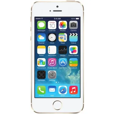 Купить Apple iPhone 5S 16GB Золотой в СПб самые низкие цены, интернет  магазин по продаже Apple iPhone 5S 16GB Золотой в Санкт-Петербурге