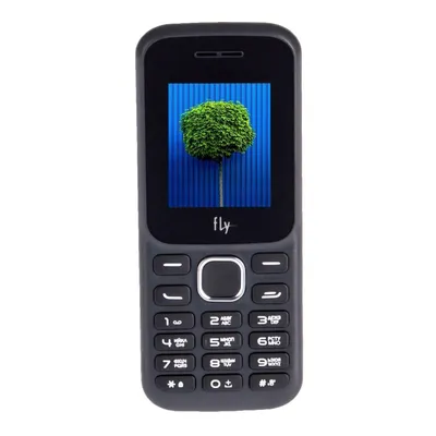 Мобильный телефон Fly FF179 Dual Sim Black, купить в Москве, цены в  интернет-магазинах на Мегамаркет