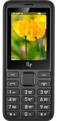 Мобильный телефон Fly FF178 Black - Bestmobiles.in.ua