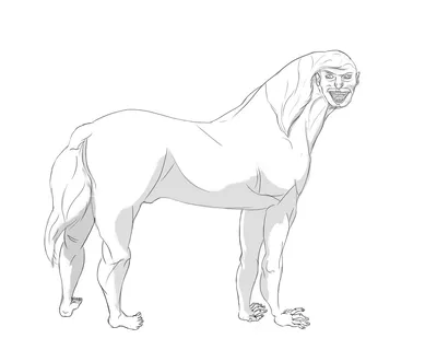 Конь Кентавр Человеческое тело Конный человек Голова, лицо, животные,  кобыла png | Klipartz