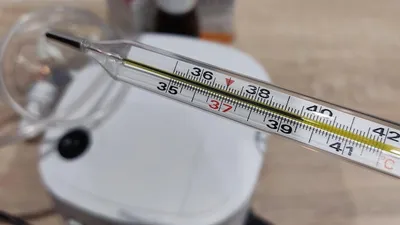 Причины повышения температуры тела к вечеру | Wday.ru | Дзен