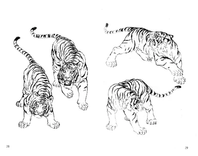 Картинки тигра для срисовки - 60 фото