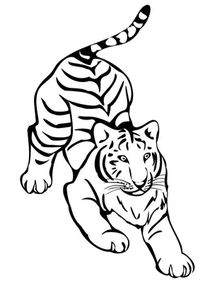 World Tiger Day PNG | Tiger illustration, Tiger art, Tiger