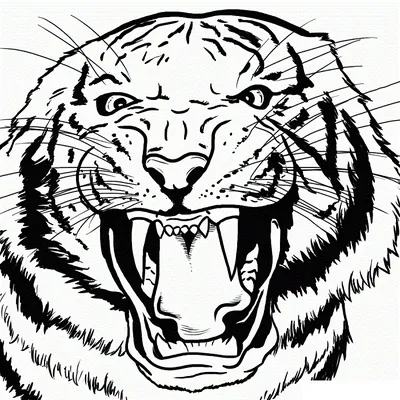 Как нарисовать тигра карандашом. Поэтапный туториал по рисованию - YouTube