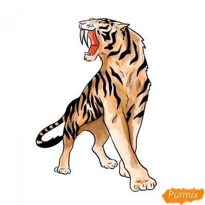 Рисую тигра. Скетч карандашом✨ | TikTok